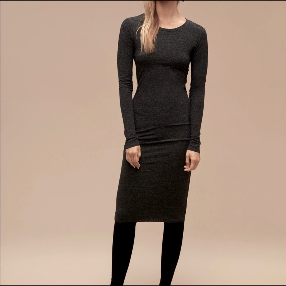 Skagen Dress NWT
